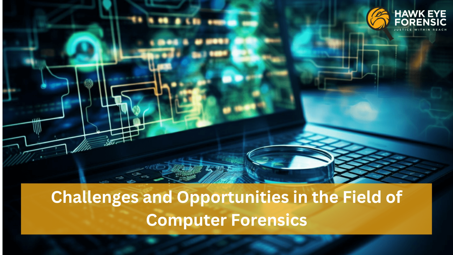 Challenges and Opportunities in the Field of Computer Forensics