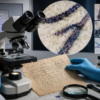 Pinpoint Evidence Fingerprint Evidence in Court: Reliability and Challenges - Hawk Eye ...