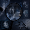 Challenges in Partial or Smudged Fingerprint Analysis
